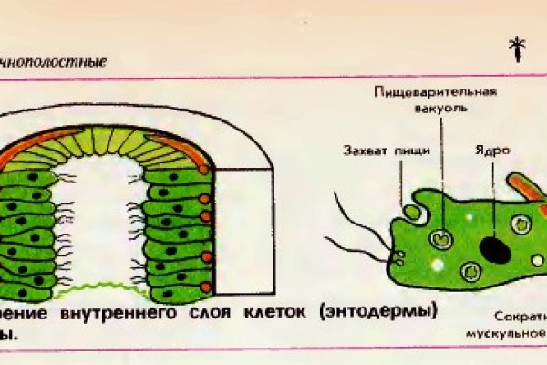 Кракен купить наркотики