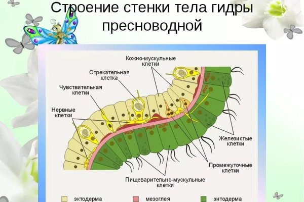 Кракен переход