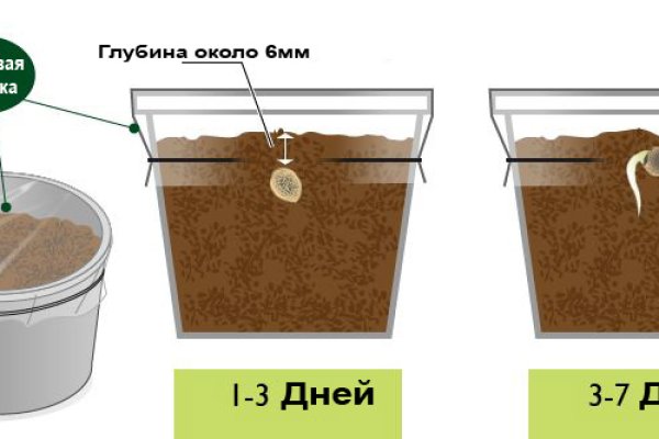 Кракен рабочая ссылка